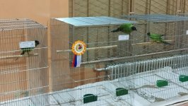 65_OŠS_Sombor_2024_23