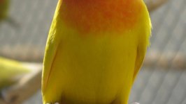 2011-09-16_140128