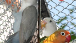 IMG_4276