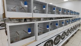 49.Međunarodni sajam peradarstva, Sombor 2026.