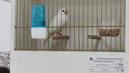 49.Međunarodni sajam peradarstva, Sombor 2026.