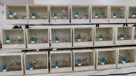 49.Međunarodni sajam peradarstva, Sombor 2026.