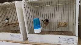 49.Međunarodni sajam peradarstva, Sombor 2026.