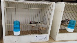 49.Međunarodni sajam peradarstva, Sombor 2026.