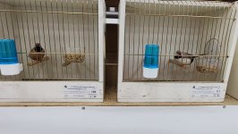 49.Međunarodni sajam peradarstva, Sombor 2026.