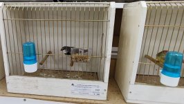 49.Međunarodni sajam peradarstva, Sombor 2026.