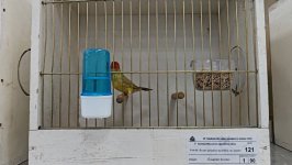 49.Međunarodni sajam peradarstva, Sombor 2026.