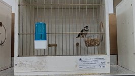 49.Međunarodni sajam peradarstva, Sombor 2026.