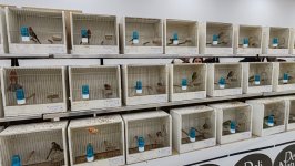 49.Međunarodni sajam peradarstva, Sombor 2026.