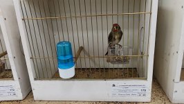 49.Međunarodni sajam peradarstva, Sombor 2026.