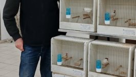 49.Međunarodni sajam peradarstva, Sombor 2026.